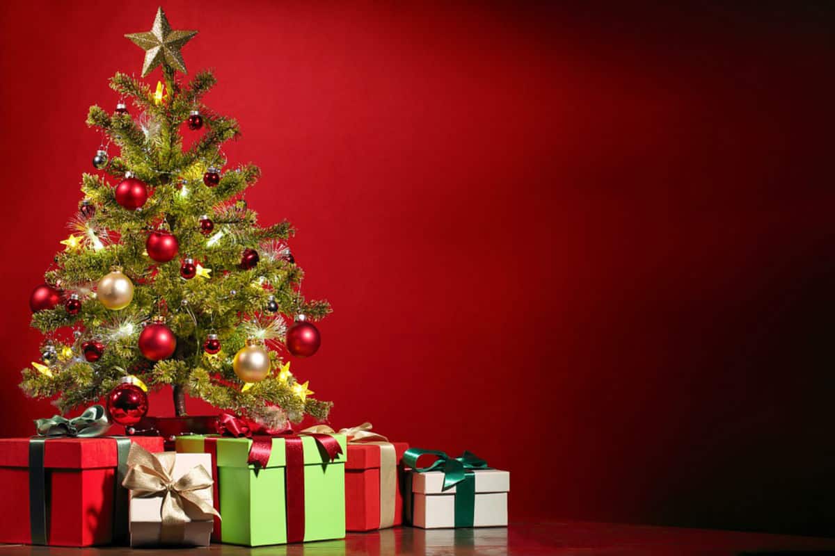 Idee di regalo di Natale per lei, dove trovare le promozioni