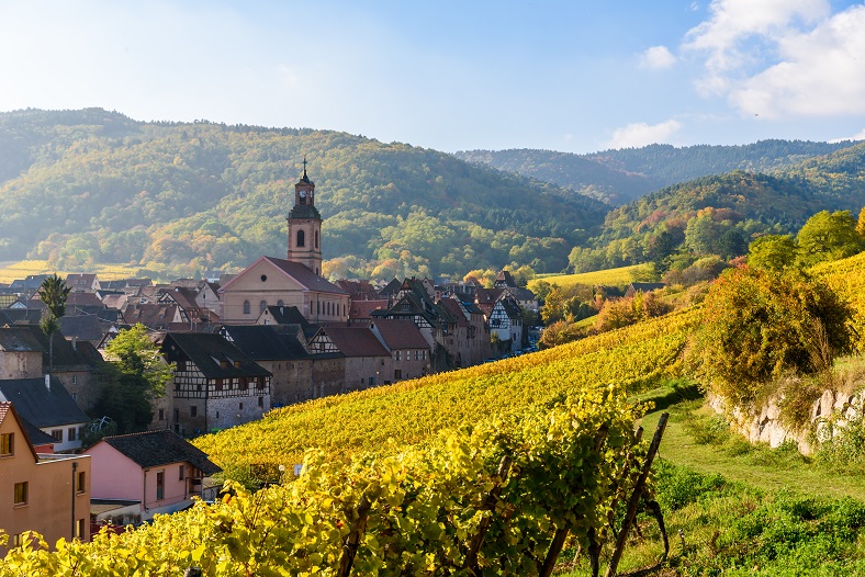 Alsace wine region