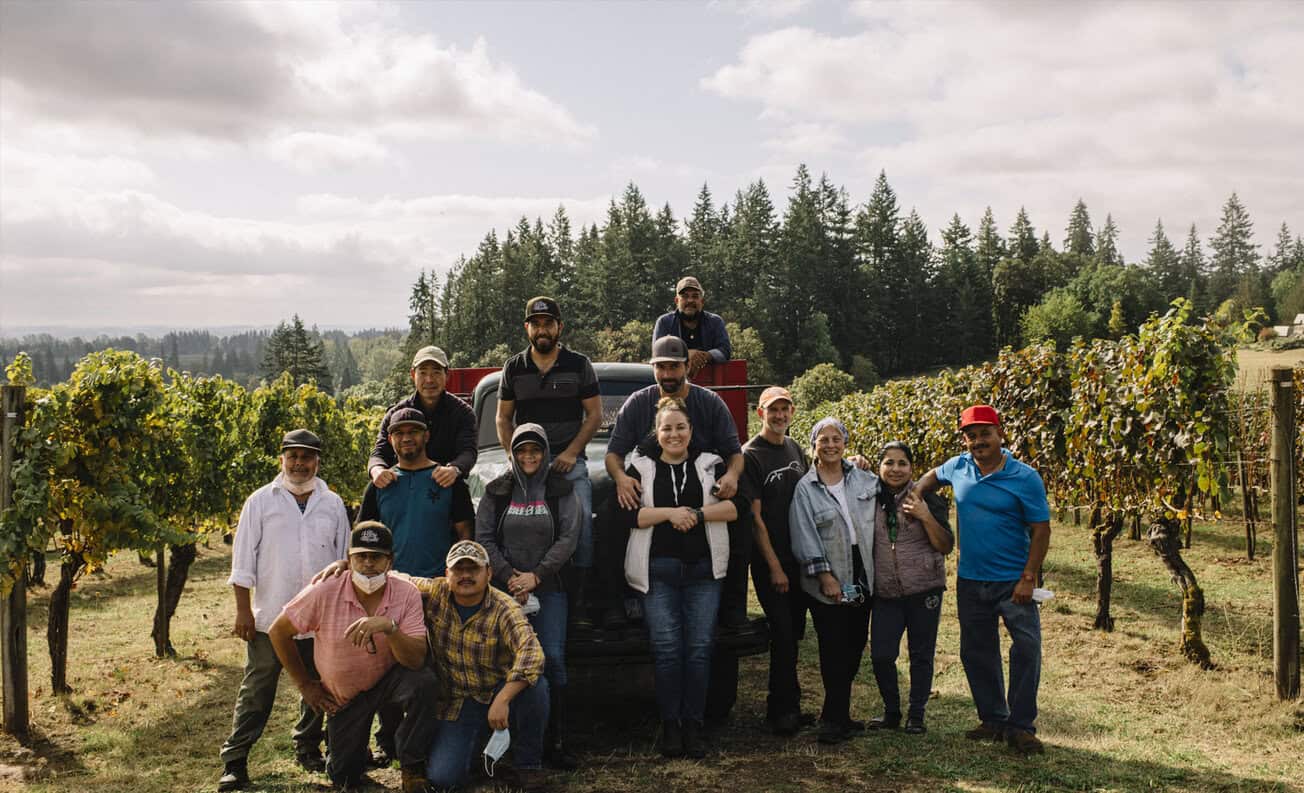 The Eyrie Vineyards