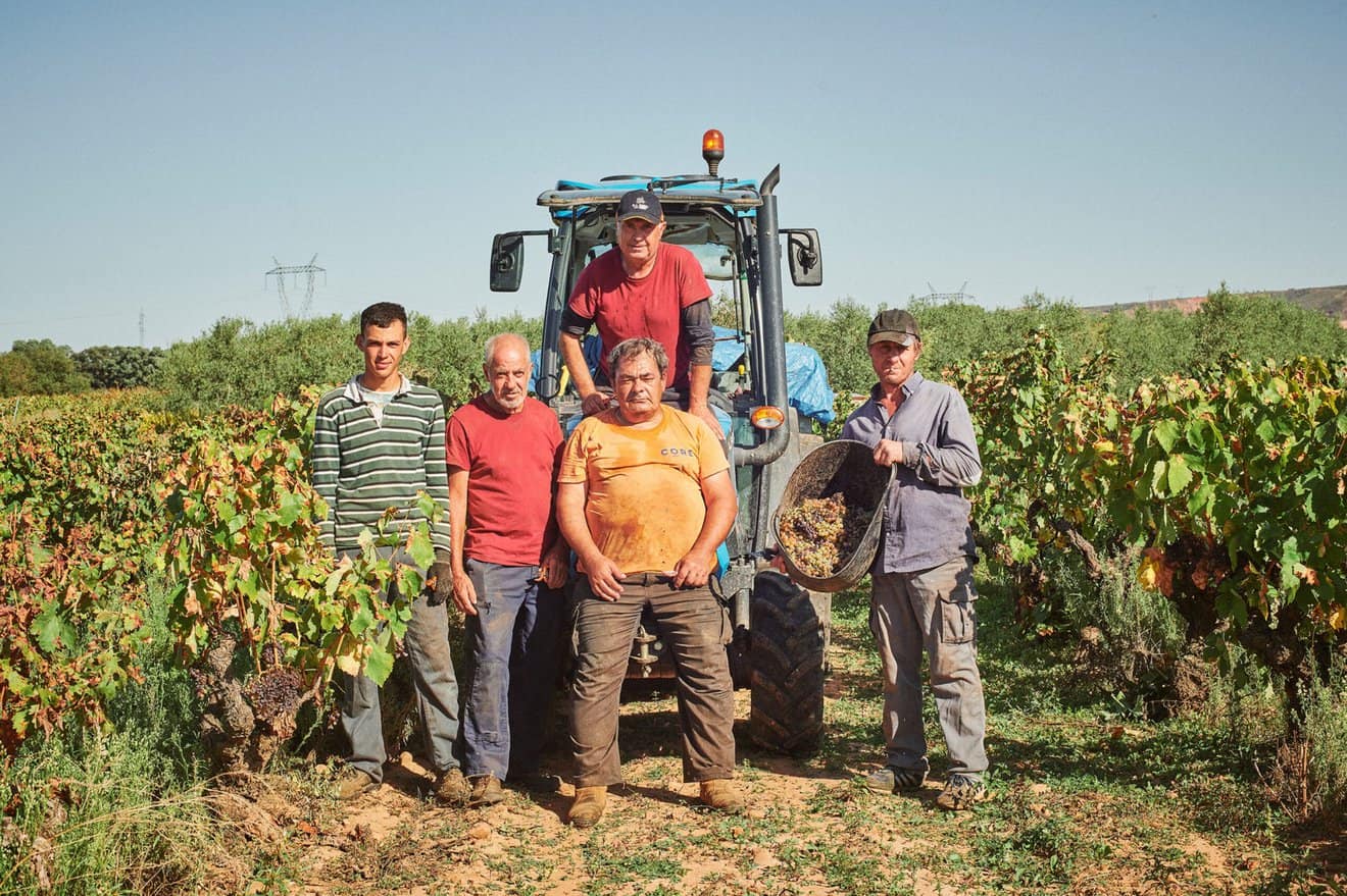 panoramico wine