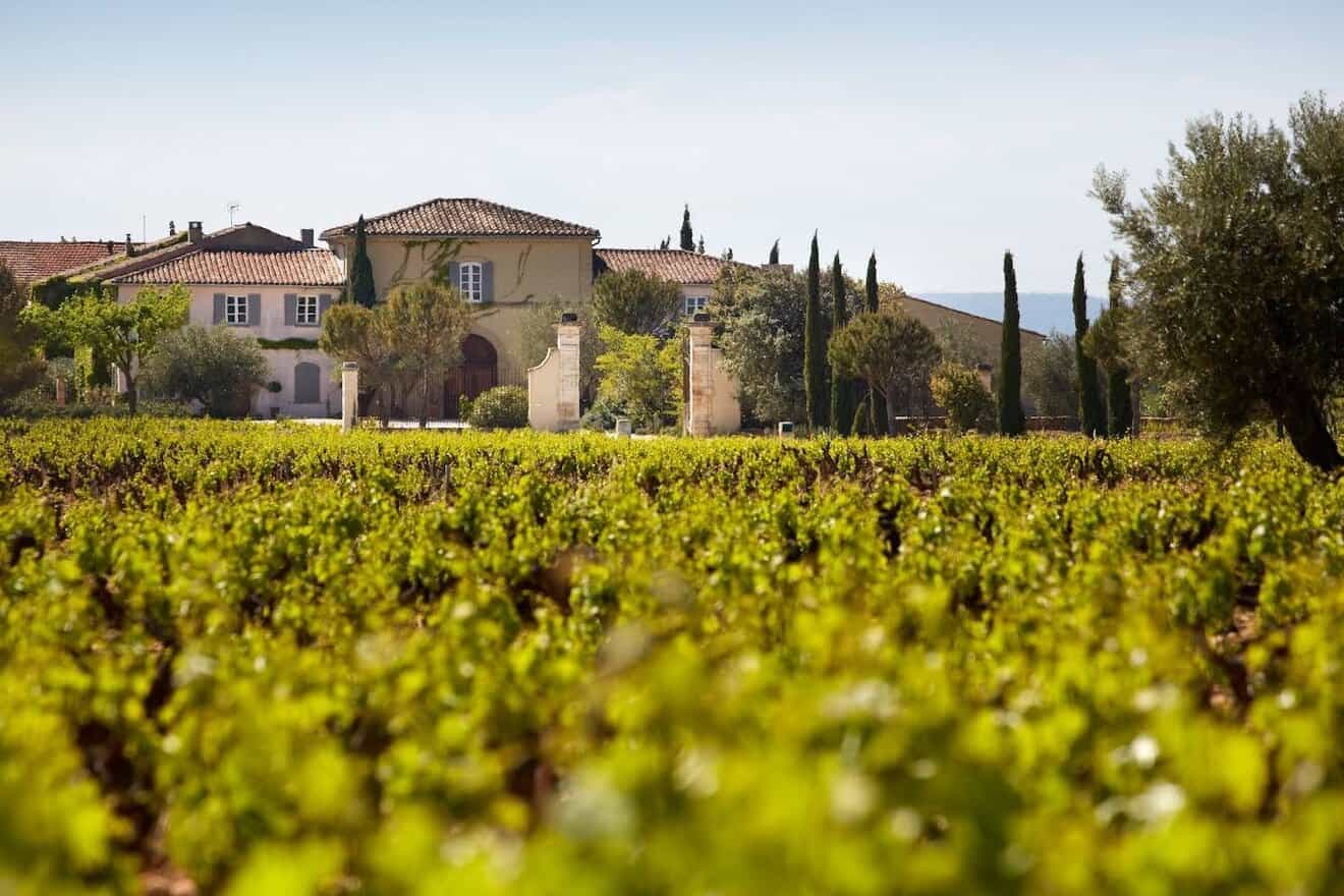 Vineyards at Château Beaucastel in Chateauneuf du Pape