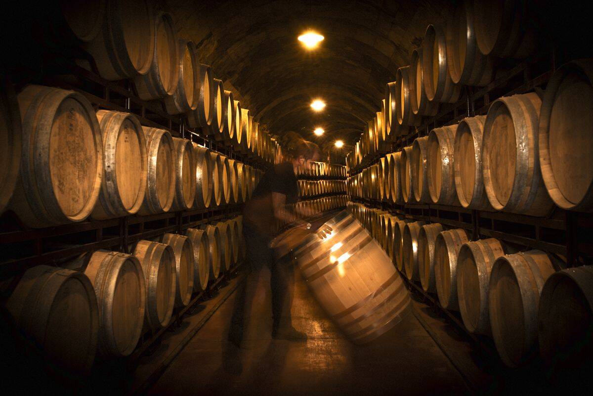 Vinícola Real cellar with wine barrels