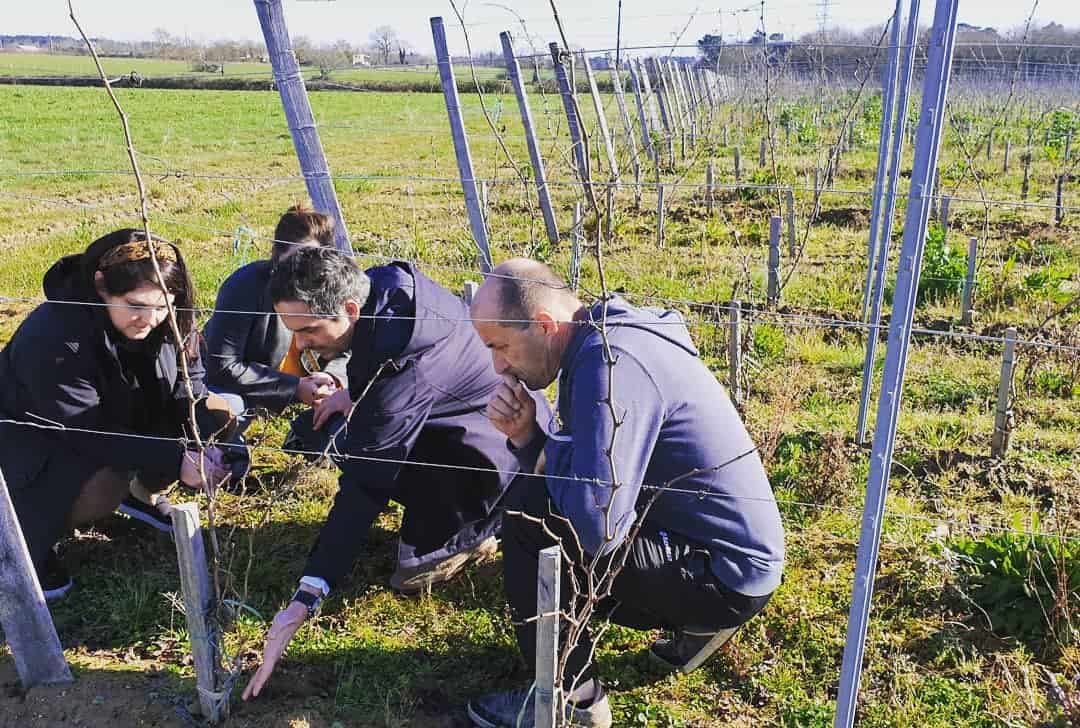 Dominique Vacher and his team in the vineyards of Château Grand Français