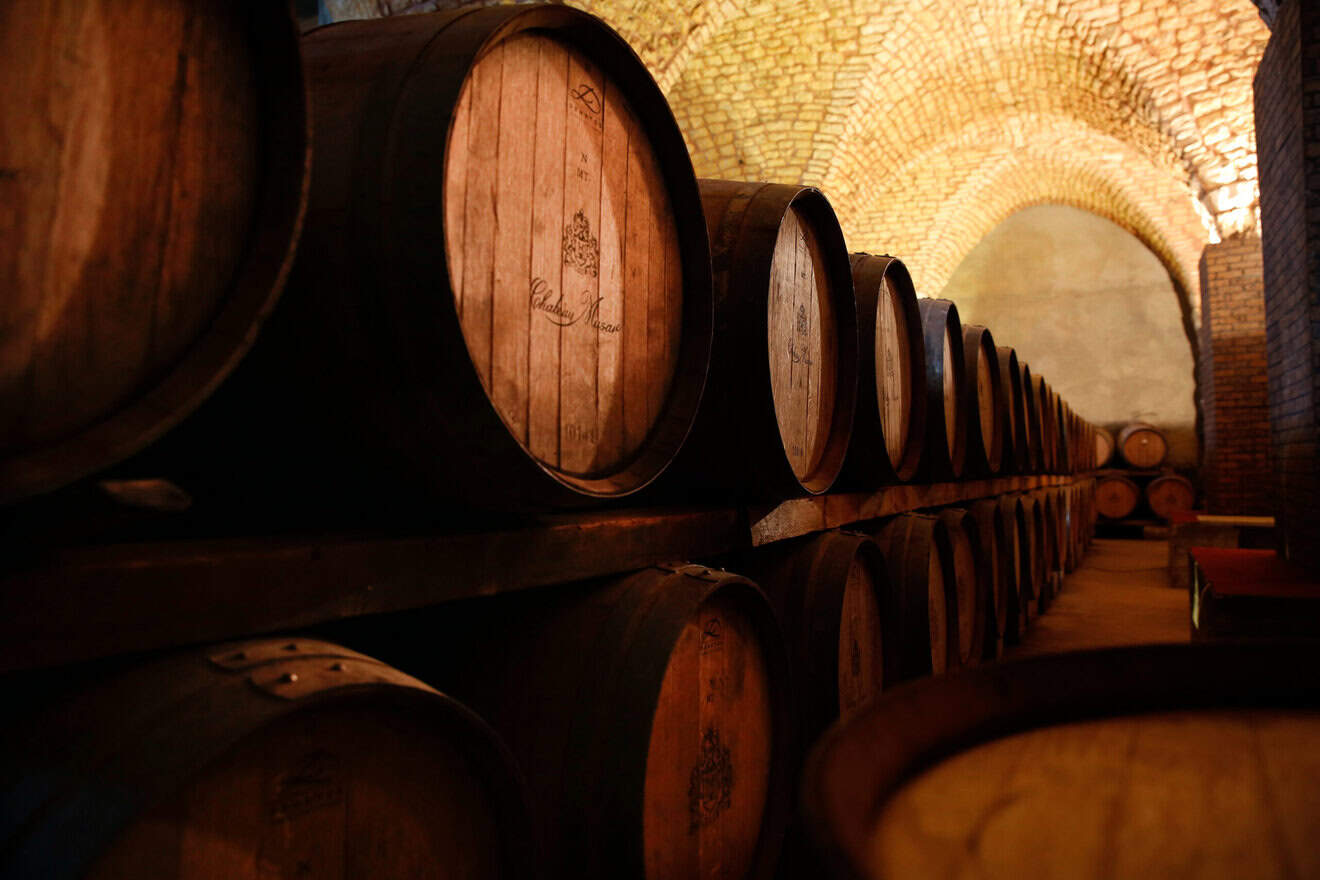 Chateau Musar Cellar