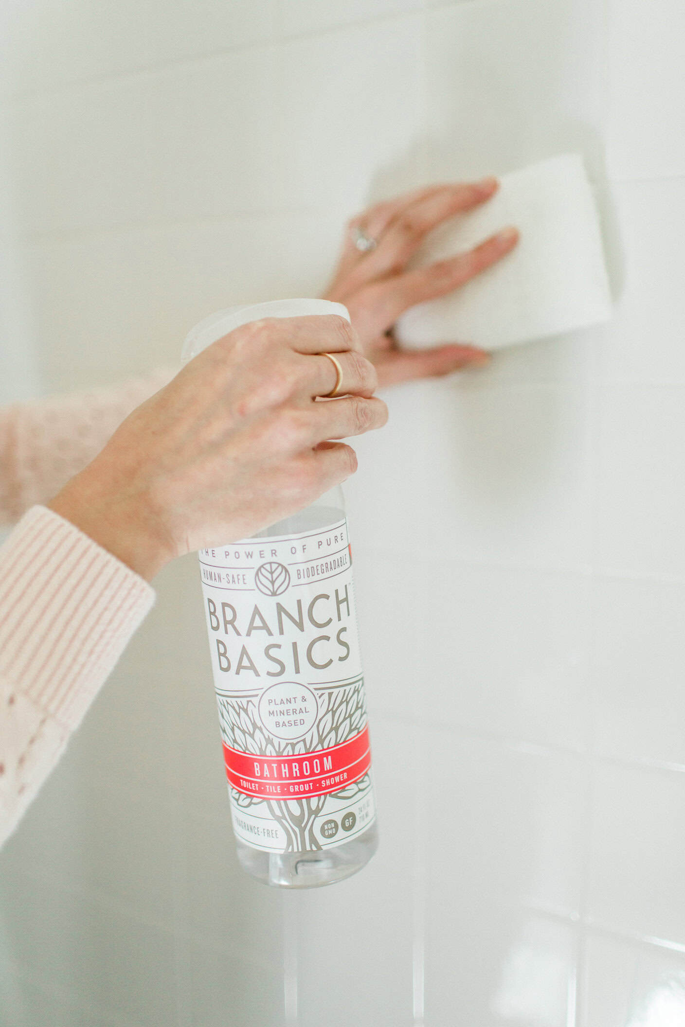 Branch Basics Review