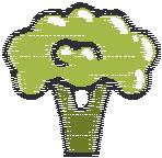Broccoli 2x2