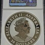 kook2019NGCMS70 101muntennl back