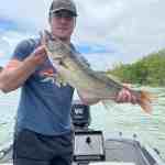 A man holds a walleye caught with Badock Fishing Guide Service while at Bull Shoals Lake in southwest Missouri near Branson.