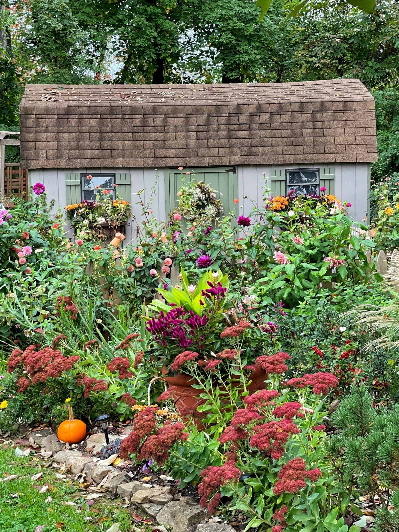 planting for fall garden beauty