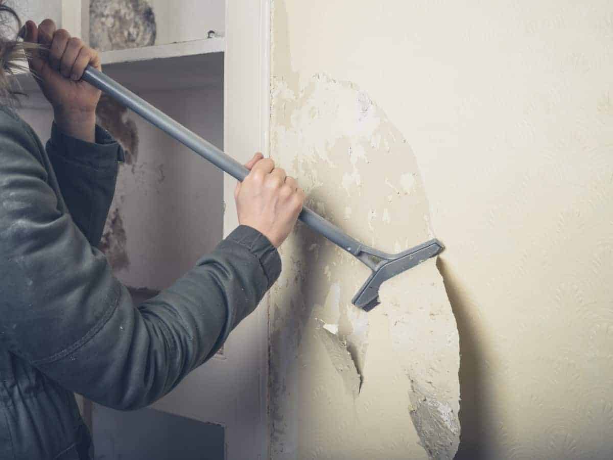 strip the wallpaper