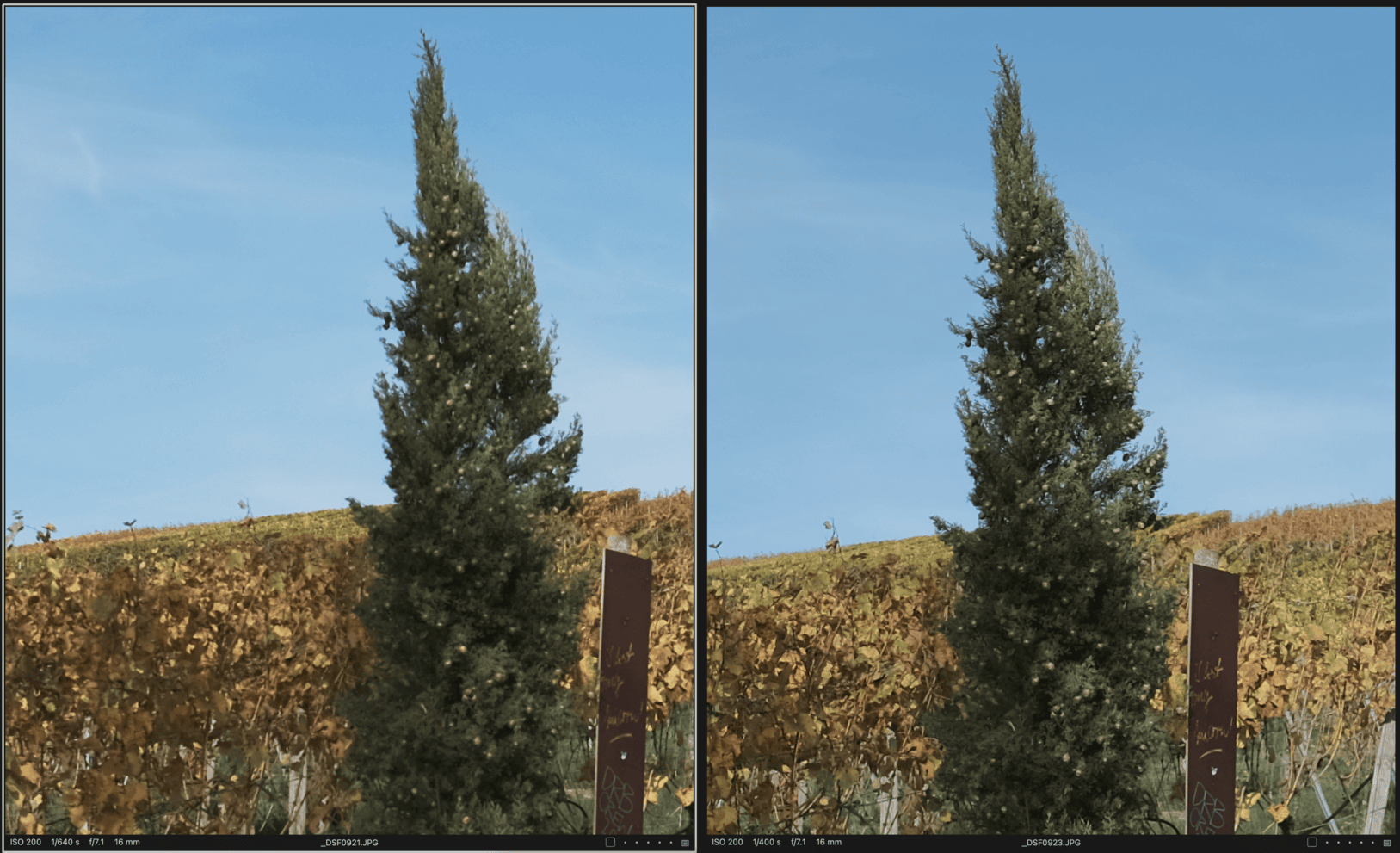 die neue Fuji X-T5: ausführliches Video Review + Beispielfotos 22 X-T5 vs. X-H1