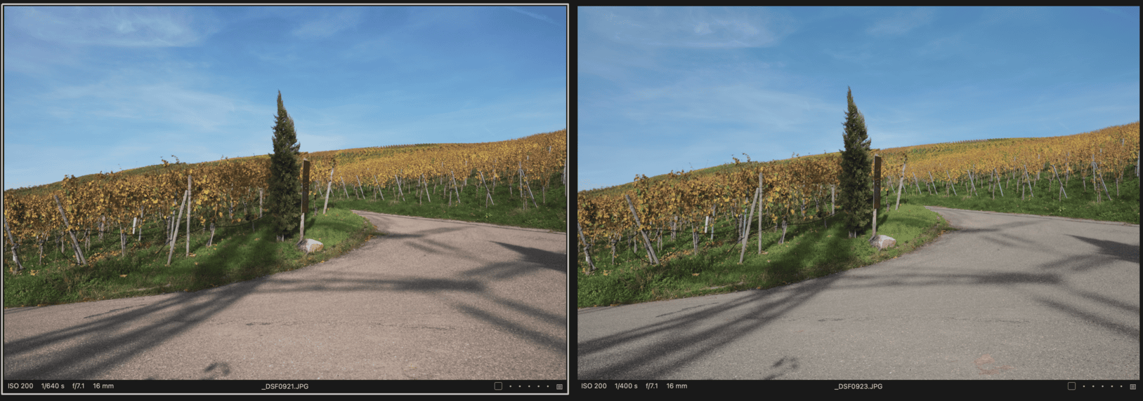 die neue Fuji X-T5: ausführliches Video Review + Beispielfotos 21 X-T5 vs. X-H1