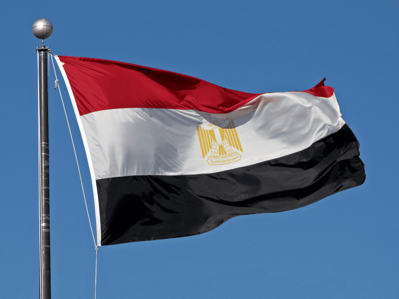 Egypt: End transnational repression against exiled journalist Basma Mostafa - Protection