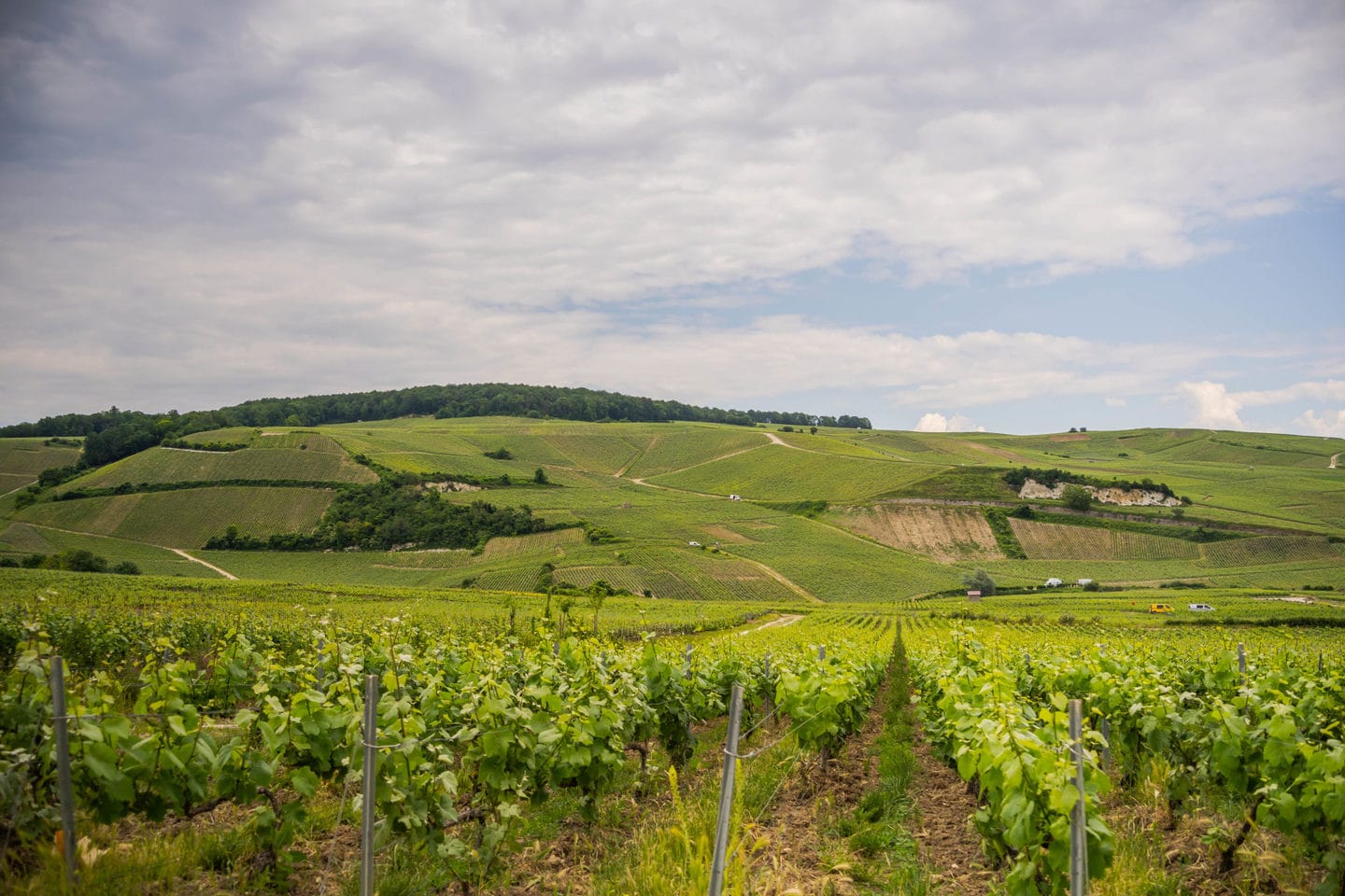 Electric bike ride near Epernay in the village of Ay-Champagne