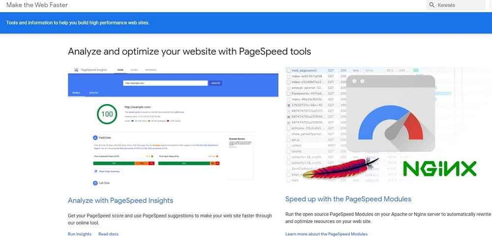 Google Pagespeed Insight