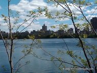 Central Park Reservior South View Central Park Reservior South View