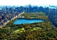 Central Park View Central Park View