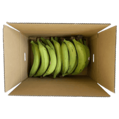 Green plantains plátanosjapón plantains japan