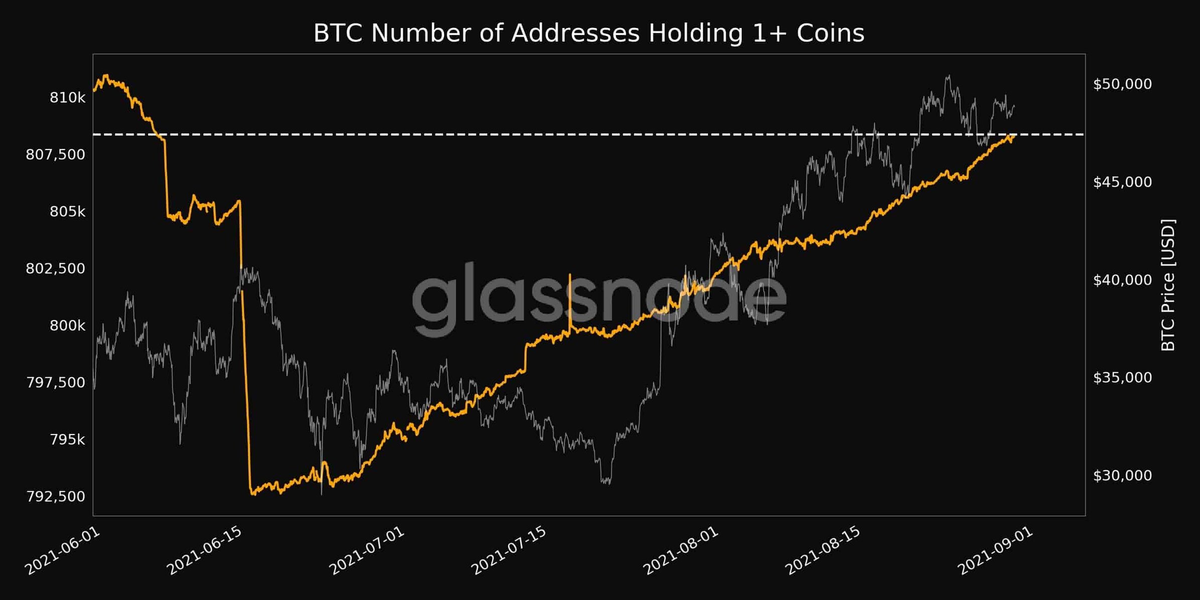 Bitcoin Wholecoiners. Source: Glassnode