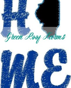 Home Illinois Single Design