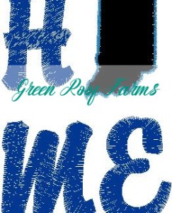 Home Indiana Single Design