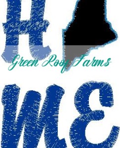 Home Maine Single Design