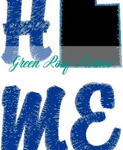 Home Utah Single Design