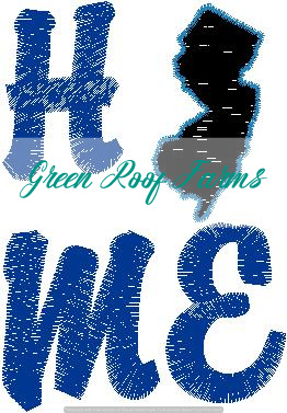 Home New Jersey Single Design