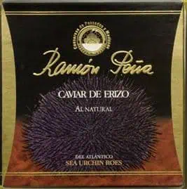 CORAIL D'OURSIN R PENA BA