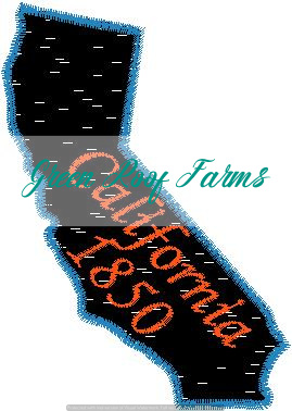 USA 50 States with Name and statehood date and without date - Image 5