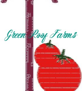 T_Tomato Fruit and Veggie 4 design pack