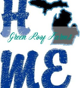 Home Michigan Single Design