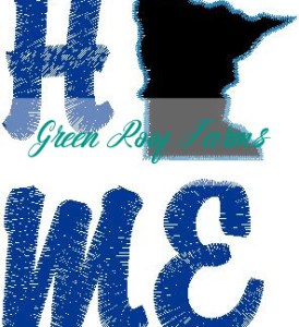 Home Minnesota Single Design