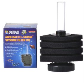 The Absolute Best Filters For Betta Fish Reviews And Ratings For 2021