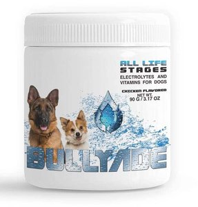 electrolytes for dogs