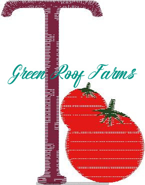 T_Tomato Fruit and Veggie 4 design pack