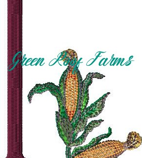 I_Indian Corn Fruit and Veggie 4 design pack