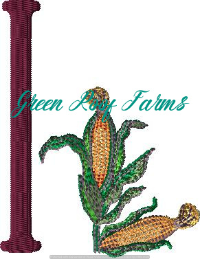 I_Indian Corn Fruit and Veggie 4 design pack