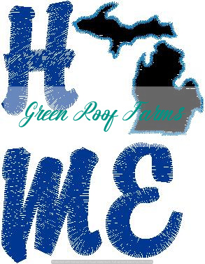 Home Michigan Single Design