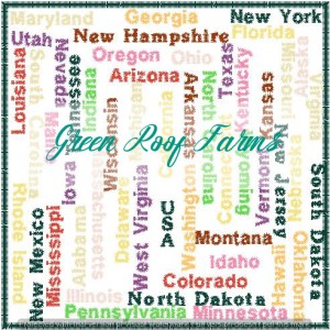 All States of the United States in a 5x5 box