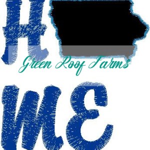 Home Iowa Single Design