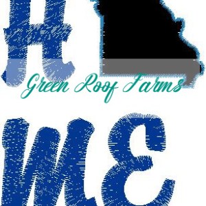 Home Missouri Single Design
