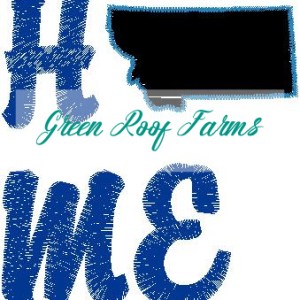 Home Montana Single Design