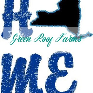 Home New York Single Design