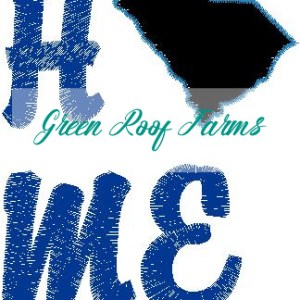 Home South Carolina Single Design