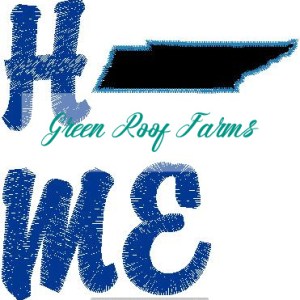 Home Tennessee Single Design