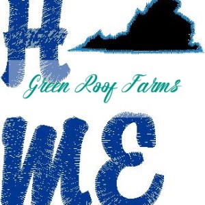Home Virginia Single Design
