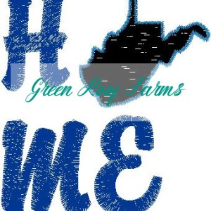 Home West VirginiaSingle Design