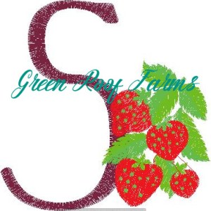 S_StrawberryFruit and Veggie 4 design pack