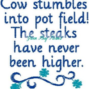 Cow High design funny billboard sign saying